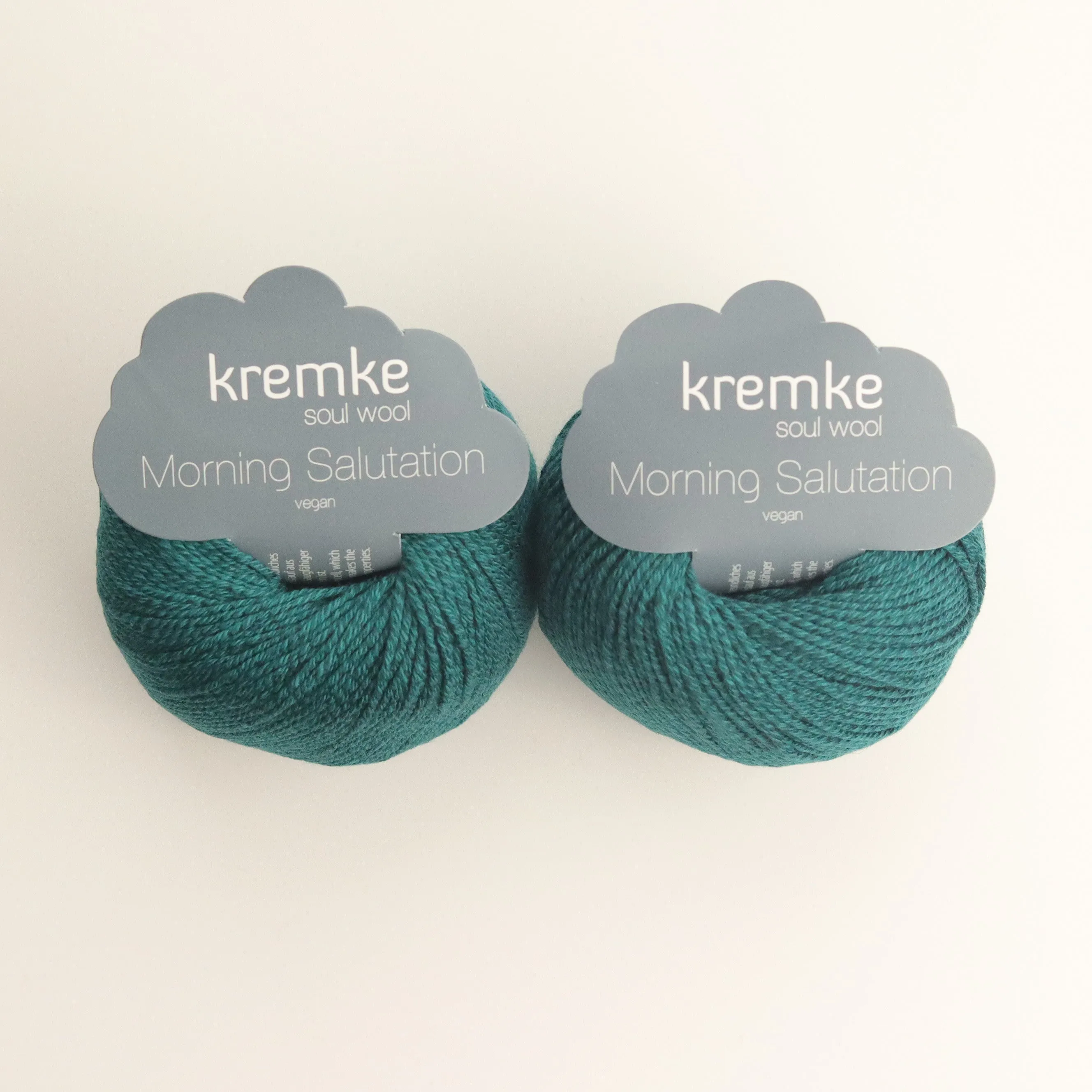Morning Salutation Vegan Yarn | Aquamarine | Lyocell Blend Yarn