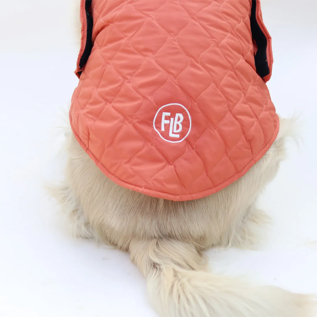 New Quilted Dog jacket Mid Orange