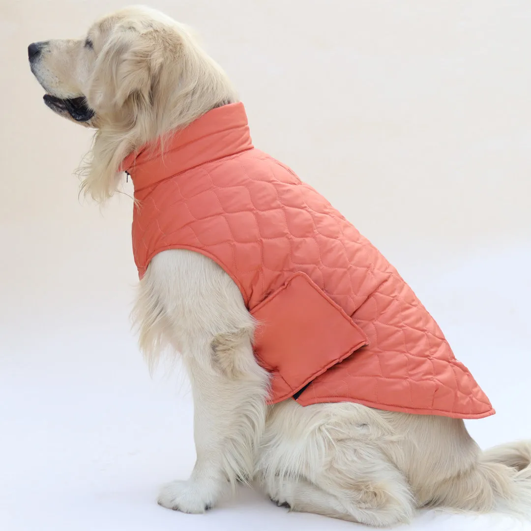 New Quilted Dog jacket Mid Orange