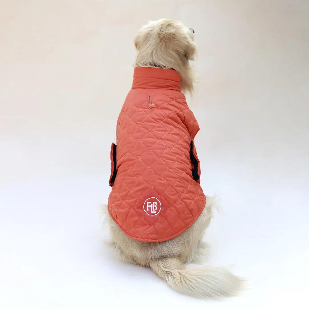 New Quilted Dog jacket Mid Orange