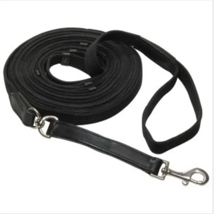 Web Lunge Rein with Leather Billets